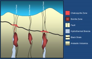 Naltagua Geological Model