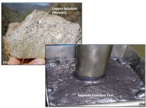 Sample of the mineralization (5a) used to produce the sulphide concentrate (5b)