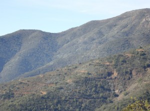 Photograph of the northern part of the Naltagua Copper System showing the main access road into the Yerba Project Area